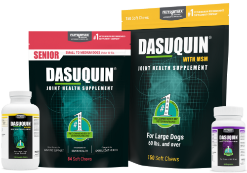 Dasuquin® Joint Health Supplement for Dogs